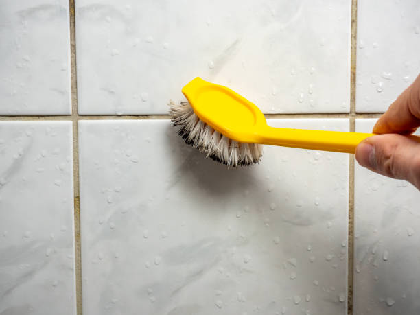 Best Certified Mold Removal  in Manning, SC
