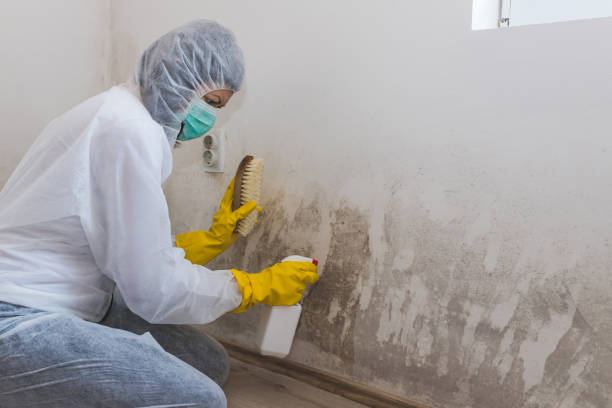 Crawl Space Mold Removal in Manning, SC